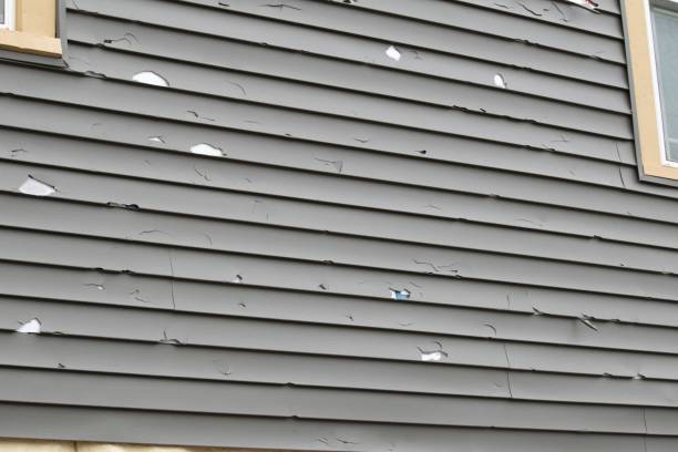 Best Vinyl Siding Installation  in , NH